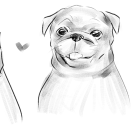 Скетч мопса