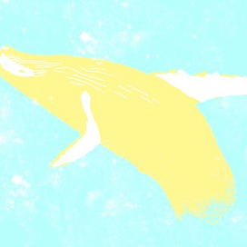 Yellow Whale