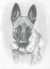 Ушки на макушке