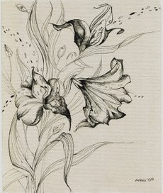 Тигровые лилии