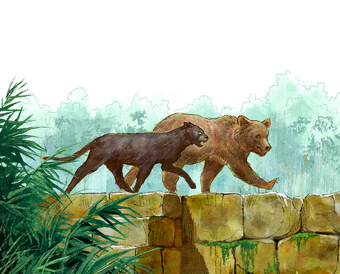 Балу и Багира спешат на помощь Маугли