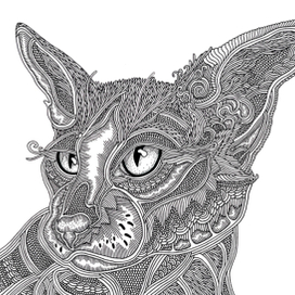 Ориентальная кошка