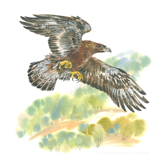 Иллюстрация к книге В. Бована "Хрустальная полынь"