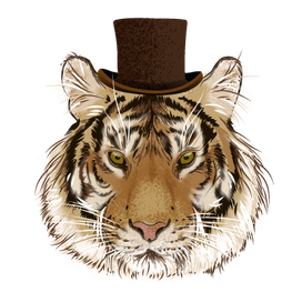 Семейство кошачих