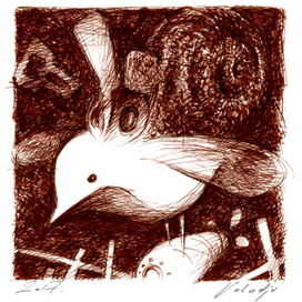 ...не такая быстрая птица