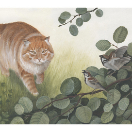 Красная горка