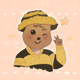 Милый квокка.