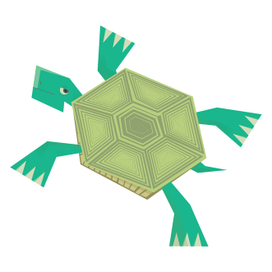 Turtle