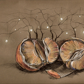 Зимние огни