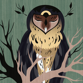 Wooden owl