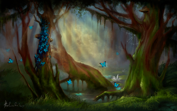 butterflies forest