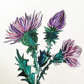 чертополох