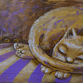 Don't disturb the cat's sleep