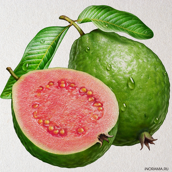 Гуава