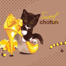 Sweet Chaton
