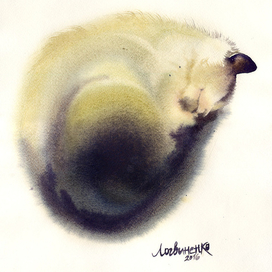 Спящий котейка