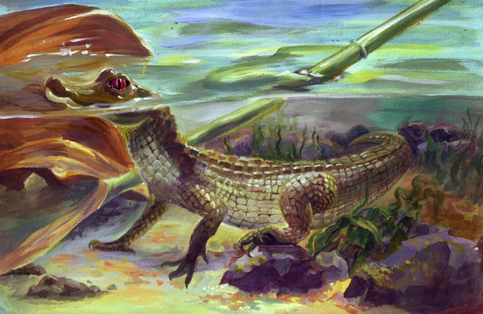 для книги научпоп