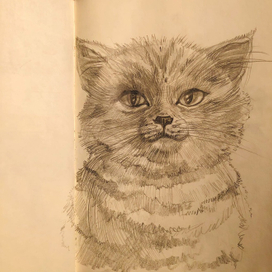 Важная персона