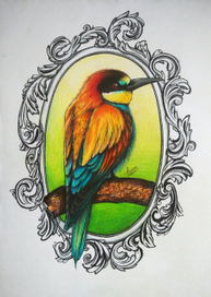 Золотистая щурка