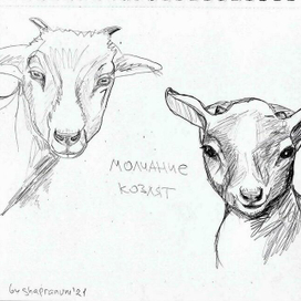 молчание козлят