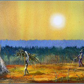 уборка тростника