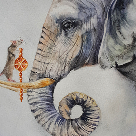 Иллюстрации