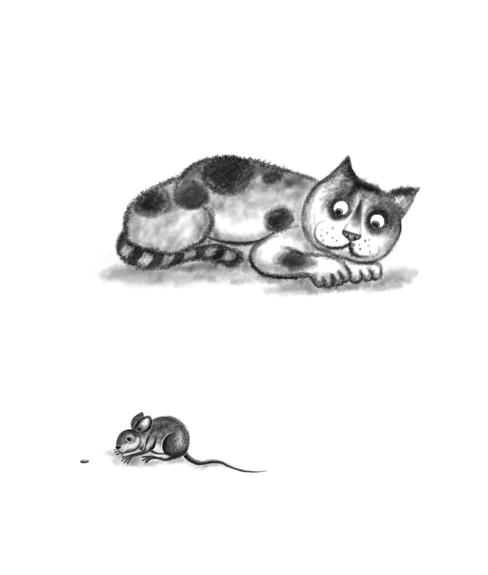 Mouse and Cat