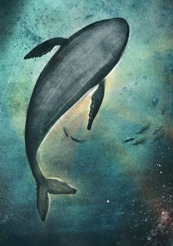 Project "Whalien 52 Hz"