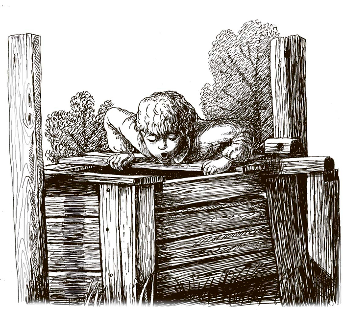 -Жучка, Жучка!