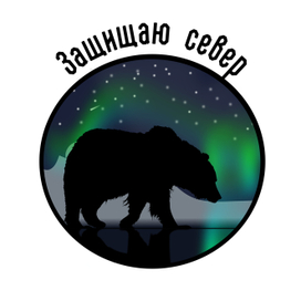 Защищаю север