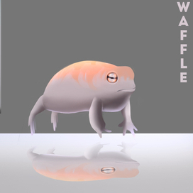 Unusual Frog