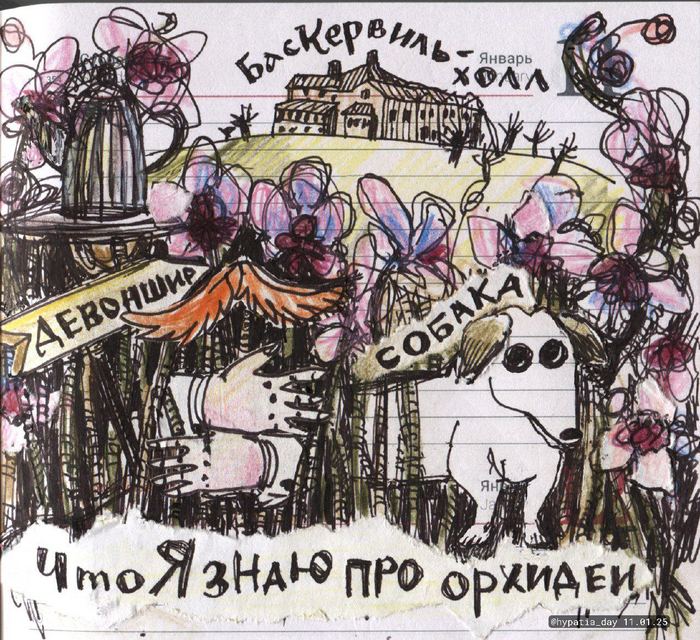 Зарисовка в ежедневник на тему "Что я знаю про орхидеи"