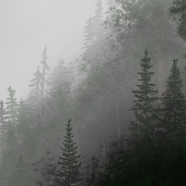 Там, где меня нет