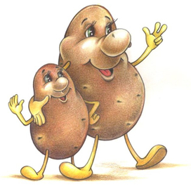 Раз картошка,два картошка