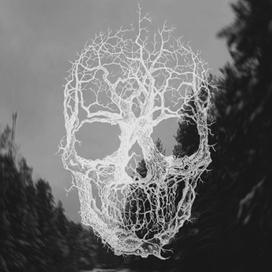 Tree Skull
