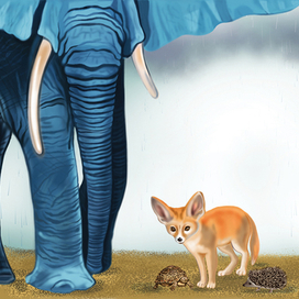 Познавательные сказки