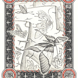 Стран(н)ицы Прошлого