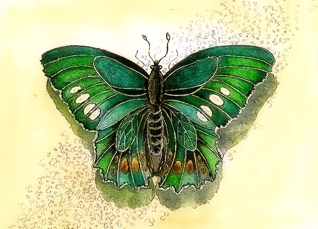 Зелёная бабочка
