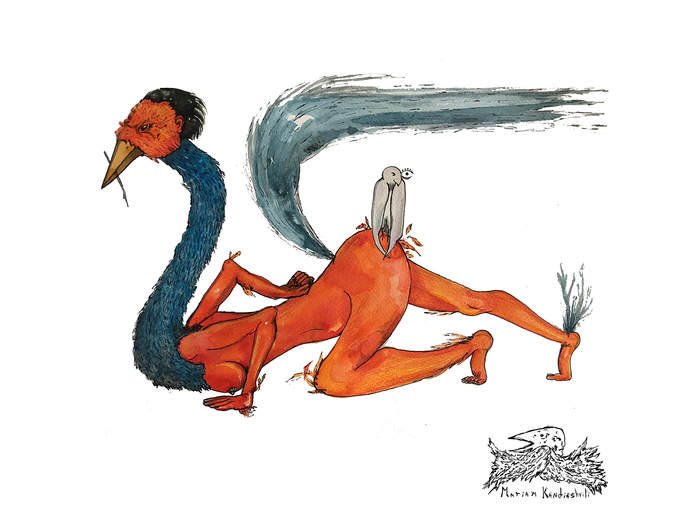 госпожа птица