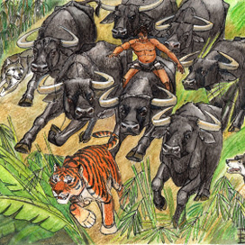 Погоня за Шер-Ханом