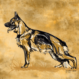  Cristal di Casa Massarelli