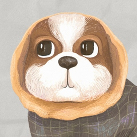 Портрет собачки в шапочке