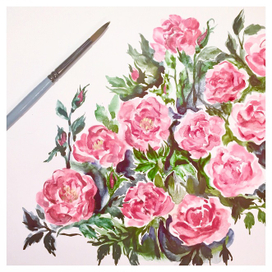 Шпалерные розы