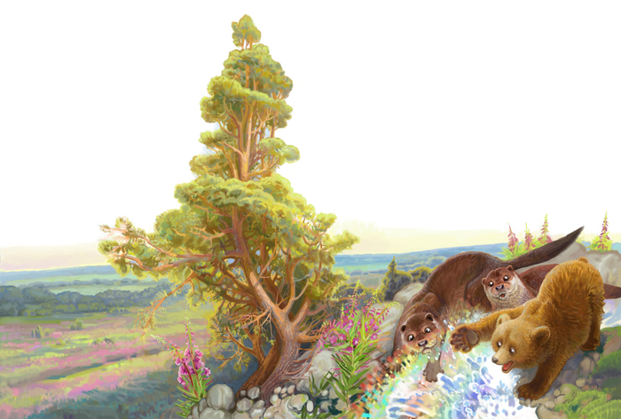 Мишка радугу зажигает