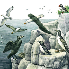  иллюстрации в учебник "Окружающий мир"