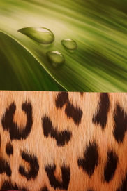 аэрография. фактура