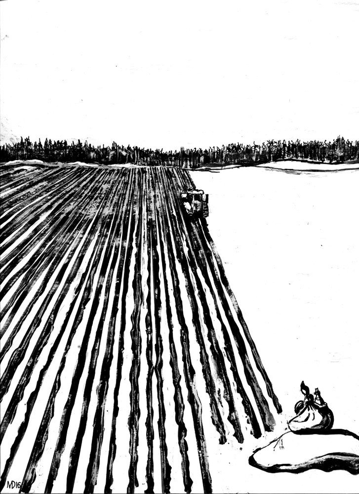 Снегозадержание