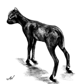 Травоядное).