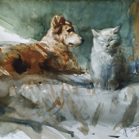 Солнечные зайчики