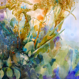 Сезон дождей.